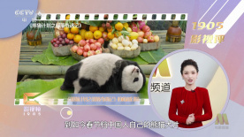久久精品免视看国产成人不卡